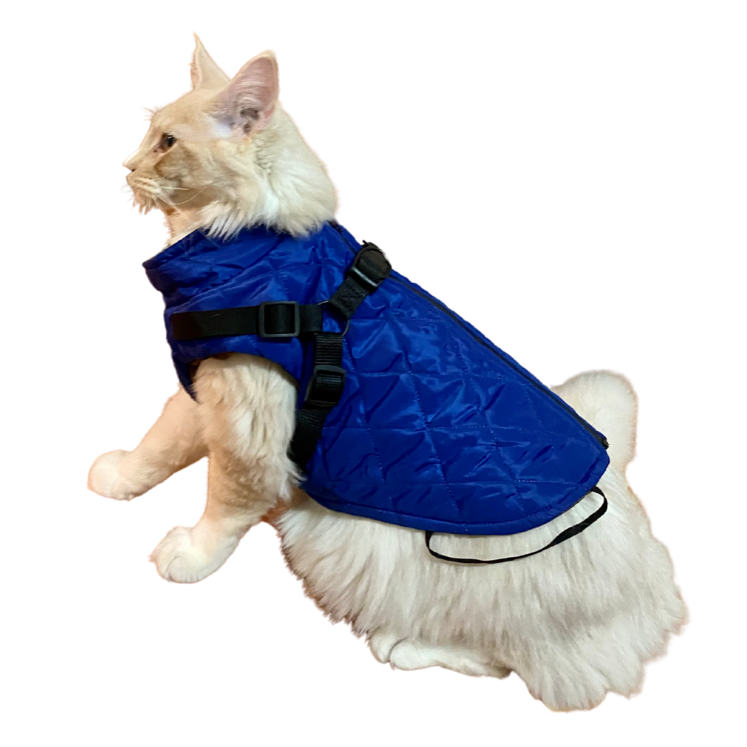 Parka impermeable para mascota