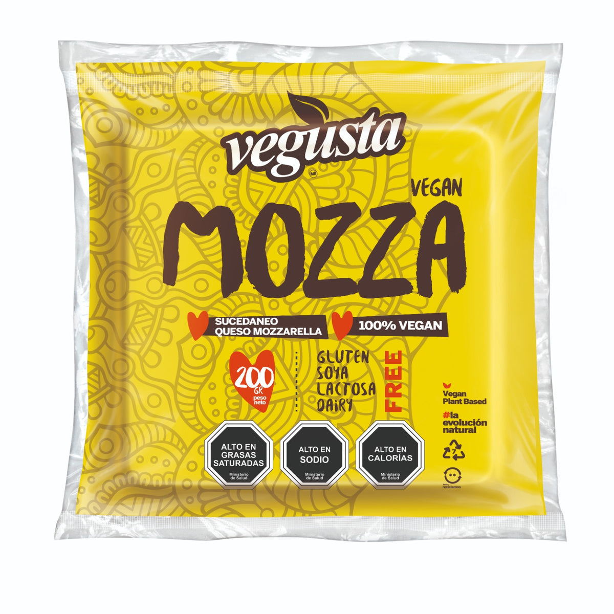 Queso tipo Mozzarella 🧀