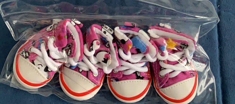 Zapatillas para mascotas