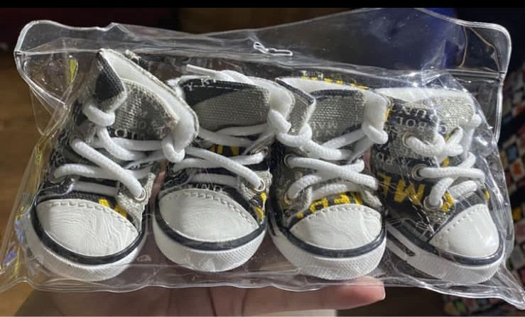 Zapatillas para mascotas