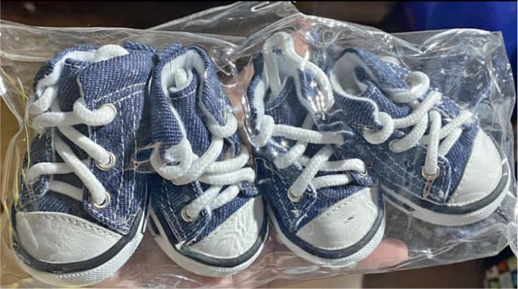 Zapatillas para mascotas
